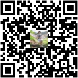 Code QR du produit
