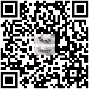 Code QR du produit