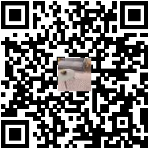 Code QR du produit
