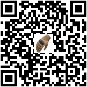 Code QR du produit