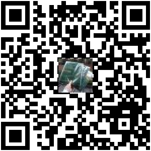 Code QR du produit