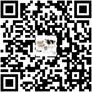 Code QR du produit