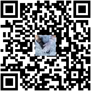 Code QR du produit