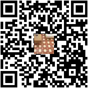 Code QR du produit