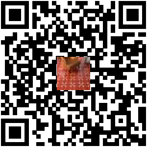 Code QR du produit