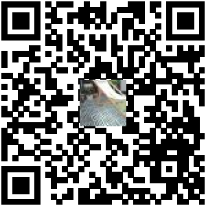 Code QR du produit