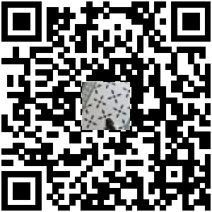 Code QR du produit