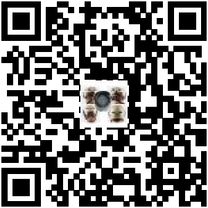 Code QR du produit