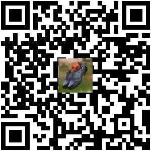 Code QR du produit