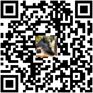 Code QR du produit