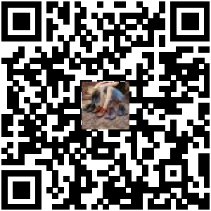 Code QR du produit