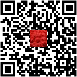 Code QR du produit