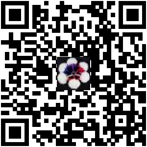 Code QR du produit