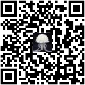 Code QR du produit