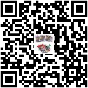 Code QR du produit