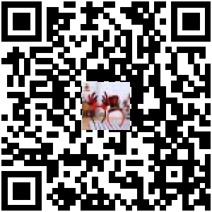 Code QR du produit
