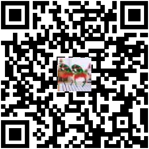 Code QR du produit