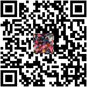 Code QR du produit