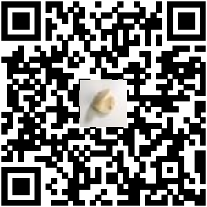 Code QR du produit