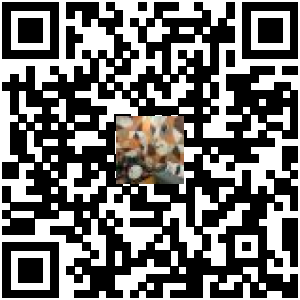 Code QR du produit