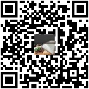 Code QR du produit