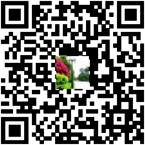 Code QR du produit