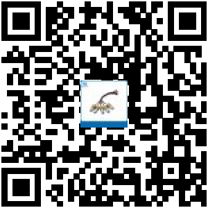 Code QR du produit