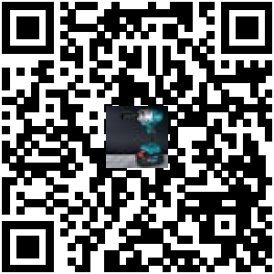 Code QR du produit