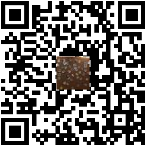 Code QR du produit