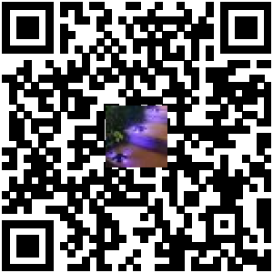 Code QR du produit