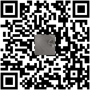Code QR du produit