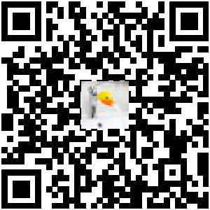 Code QR du produit