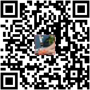Code QR du produit