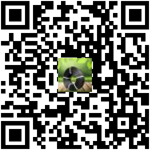 Code QR du produit