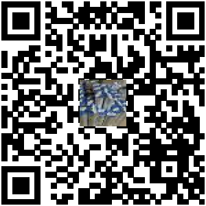 Code QR du produit