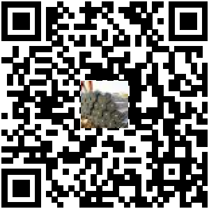 Code QR du produit