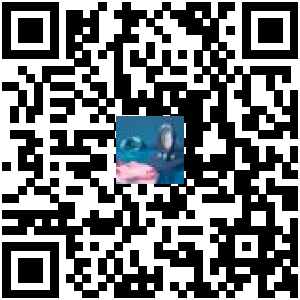 Code QR du produit