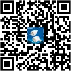 Code QR du produit