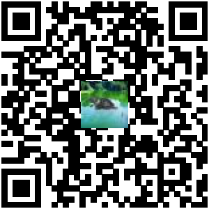 Code QR du produit