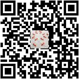 Code QR du produit