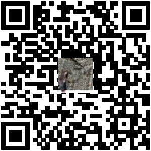 Code QR du produit