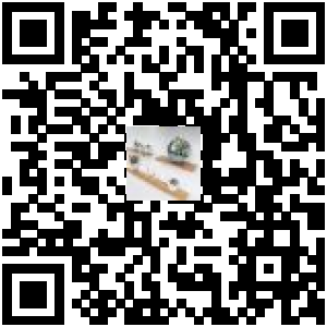 Code QR du produit