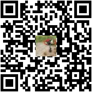 Code QR du produit