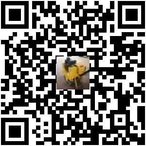 Code QR du produit