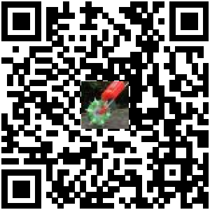 Code QR du produit
