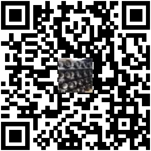 Code QR du produit