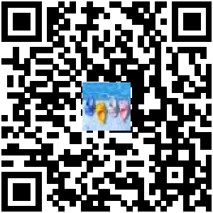 Code QR du produit