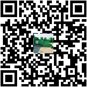 Code QR du produit