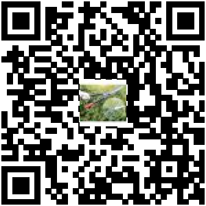 Code QR du produit