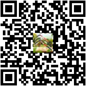 Code QR du produit